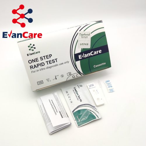 teste rápido de febre tifoide